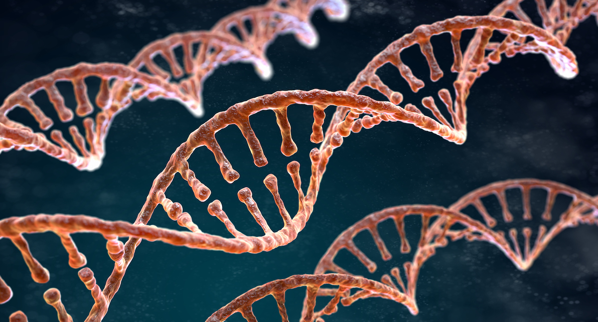 Spiral strands of DNA on the dark background
